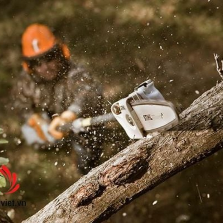 Máy cắt hàng cành cây STIHL HT75