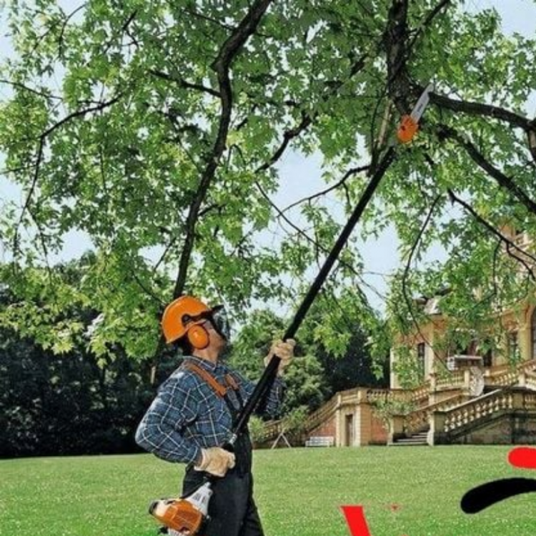 Máy cắt hàng cành cây STIHL HT75