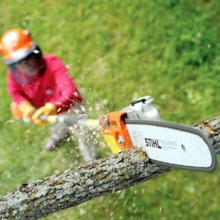 Máy cắt hàng cành cây STIHL HT75