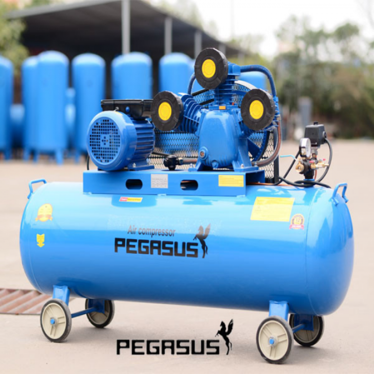 Máy nén khí Pegasus coro 4HP 1pha (TM-W-0.36/8-230L)