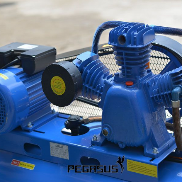 Máy nén khí Pegasus coro 4HP 1pha (TM-W-0.36/8-230L)