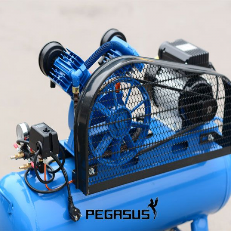 Máy nén khí Pegasus coro 4HP 1pha (TM-W-0.36/8-230L)