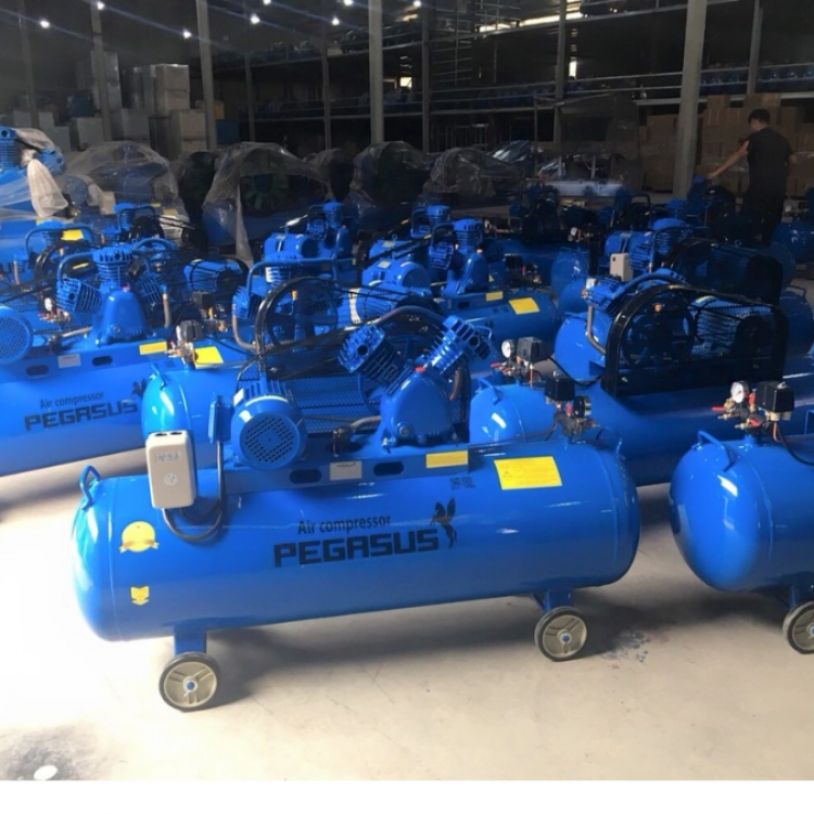 Máy nén khí Pegasus coro 4HP 1pha (TM-W-0.36/12.5-180L)